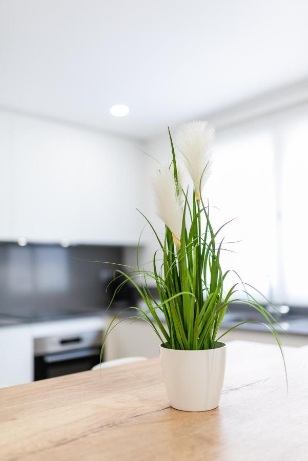 Trendy And Bright Apartment 그라나다 외부 사진